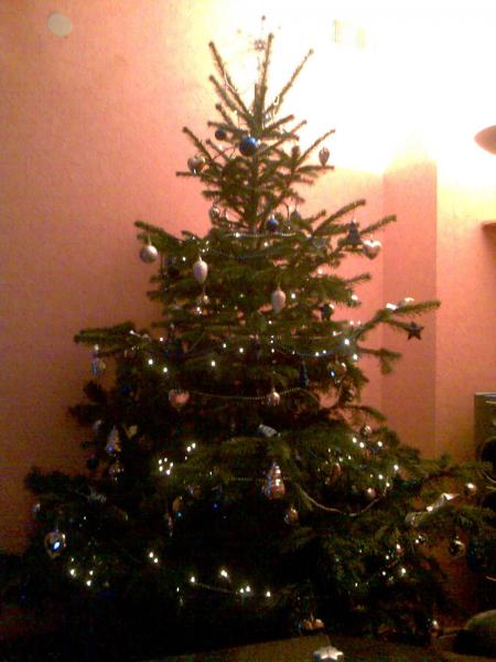 Notre sapin