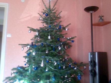 toujours notre sapin